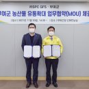 부여토마토 이미지