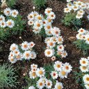 무위자연-태양 이미지