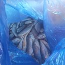 왕고집매운탕 이미지