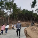 겨어미 네이버블로그