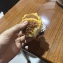 인덕헬스 | 26.03 (下) | 배부른 다이어터의 행복한 기록