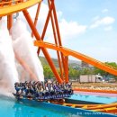 블루베리 가족 독채펜션 | 경북가족독채펜션 뉴더안펜션 방문 후기