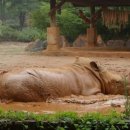 동물원 화장실 이미지