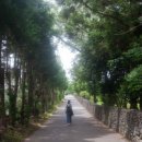 천주교 순례길 - 신축화해길 이미지