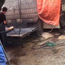 모란종합시장 이미지