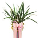 조은금강병원장례식장 이미지