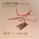 (러시아 블라디보스톡여행) 블라디보스톡공항 VVO → 대구국제공항 TAE 티웨이항공 TW432 이미지