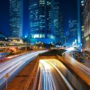 지혜의 심리학 이미지