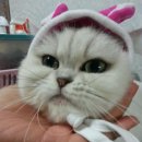 폴리파크지산점 이미지