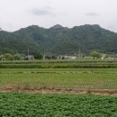 행운펜션 이미지