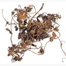 넘버원허브 이미지