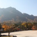 가을 설악산과 삼양대괄령 목장 여행 감상....!! 이미지
