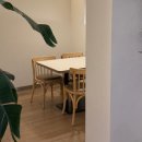 원당골 1길 23 ~ 원당골 1길 23-7 | 제주 맛집 이재모피자 치즈 변경 내돈내산 후기｜웨이팅 메뉴 주차 포장