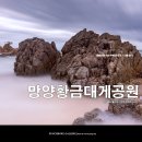 망양리 대게공원 이미지