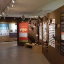 전북대학교자연사박물관 이미지