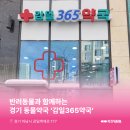 감일365약국 이미지