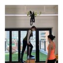 데이얼필라테스 이미지