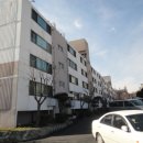 경기도 수원시 영통구 동수원로 482 (매탄동) 이미지