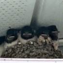 신안 행정사사무소 이미지