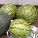 만송농장 이미지