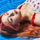 양이펀치 이미지