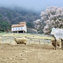 베스트목장 이미지