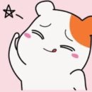 부산진구 보건소 이미지