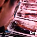징어랑