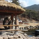 안동학가산온천 이미지