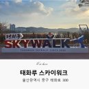 태화루 | 울산 중구) 태화루 스카이워크 이용 후기(네트 체험 후기)