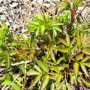 능성농장 이미지