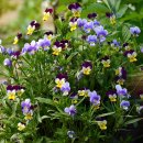 즐거운여행영어 이미지