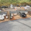 영산포풍물시장 이미지