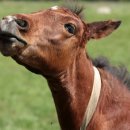 비상솔루션 이미지