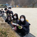 화개초등학교왕성분교장 이미지