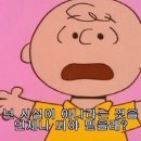 찰리브라운 네이버블로그