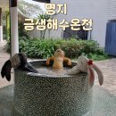 금샘해수온천 이미지