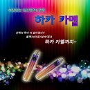 로얄멀티샾 이미지