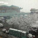 천지 당구장 이미지