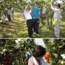 서대리농장 이미지