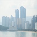 부산 본밀면 Daum카페