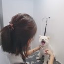 도담도담이발소 이미지