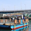 속초갯배 이미지