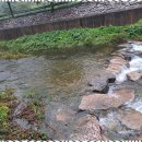 정원펜션 이미지