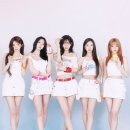 나인 bnt뉴스
