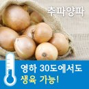 (주)초이스팜 이미지