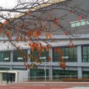 최우수 체육관 이미지