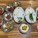 이산흑염소 이미지