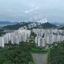 박사행정사사무소 이미지