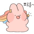 녹스휴 이미지